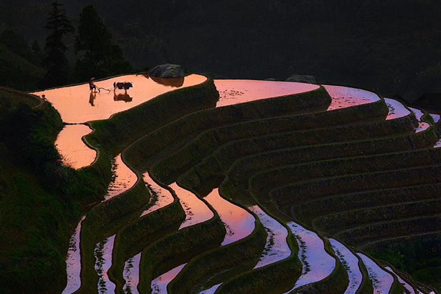 Thierry Bornier, Закат в Longji